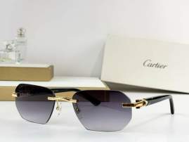 Picture of Cartier Sunglasses _SKUfw77838153fw